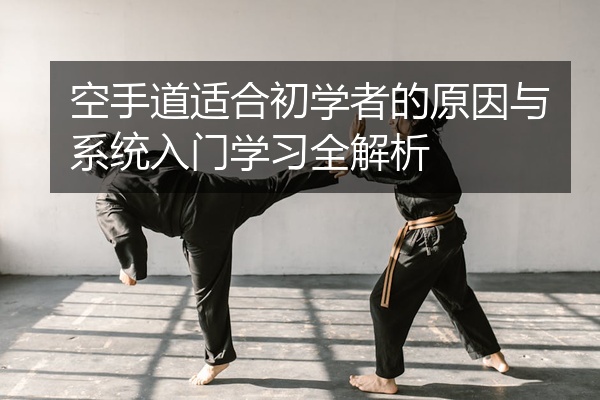 空手道适合初学者的原因与系统入门学习全解析