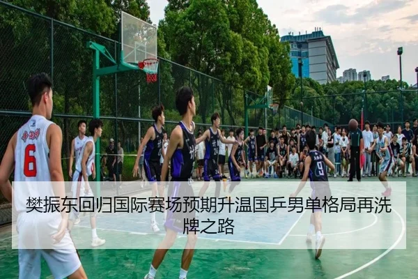 樊振东回归国际赛场预期升温国乒男单格局再洗牌之路